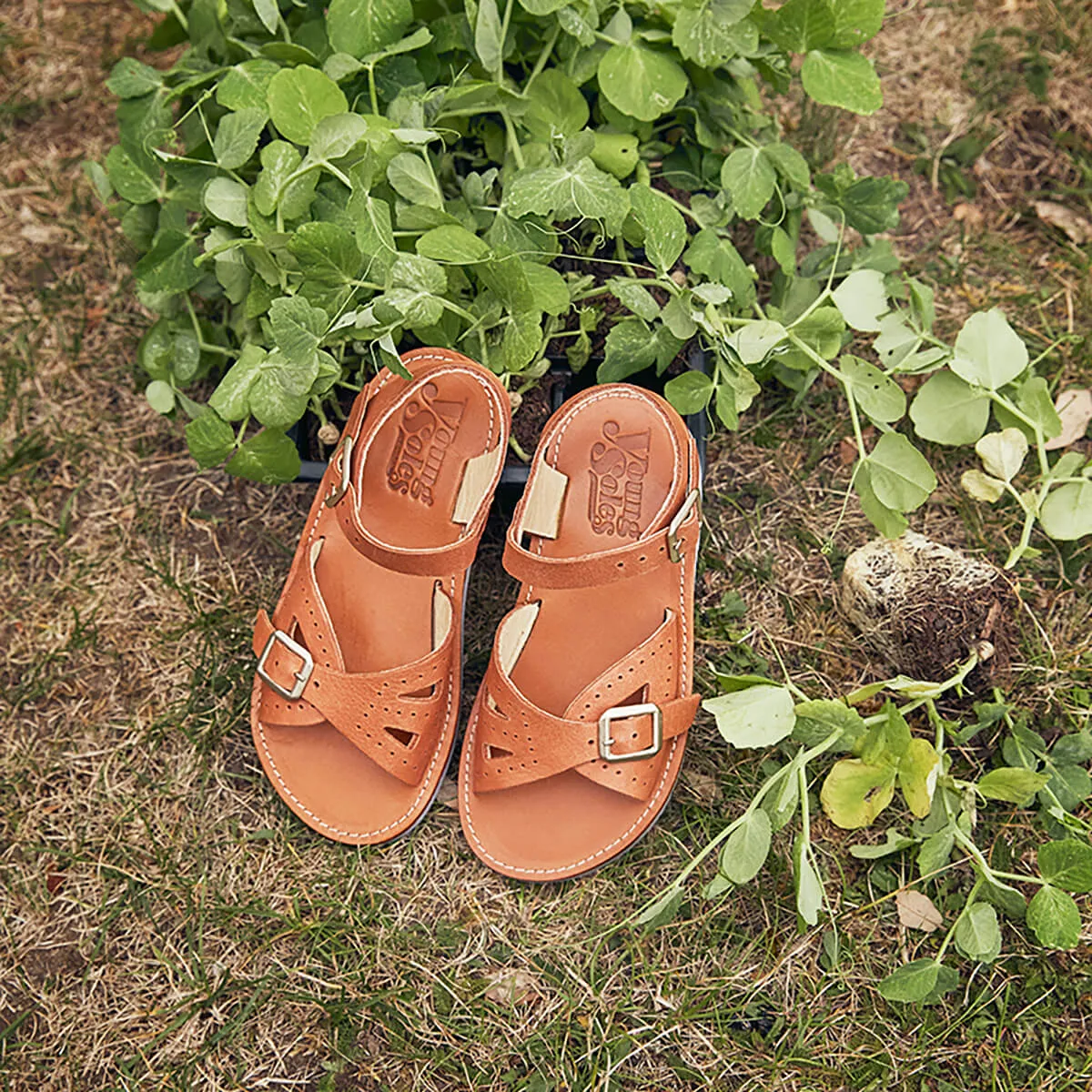 Pearl Sandals in Chestnut Brown Leather by Young Soles