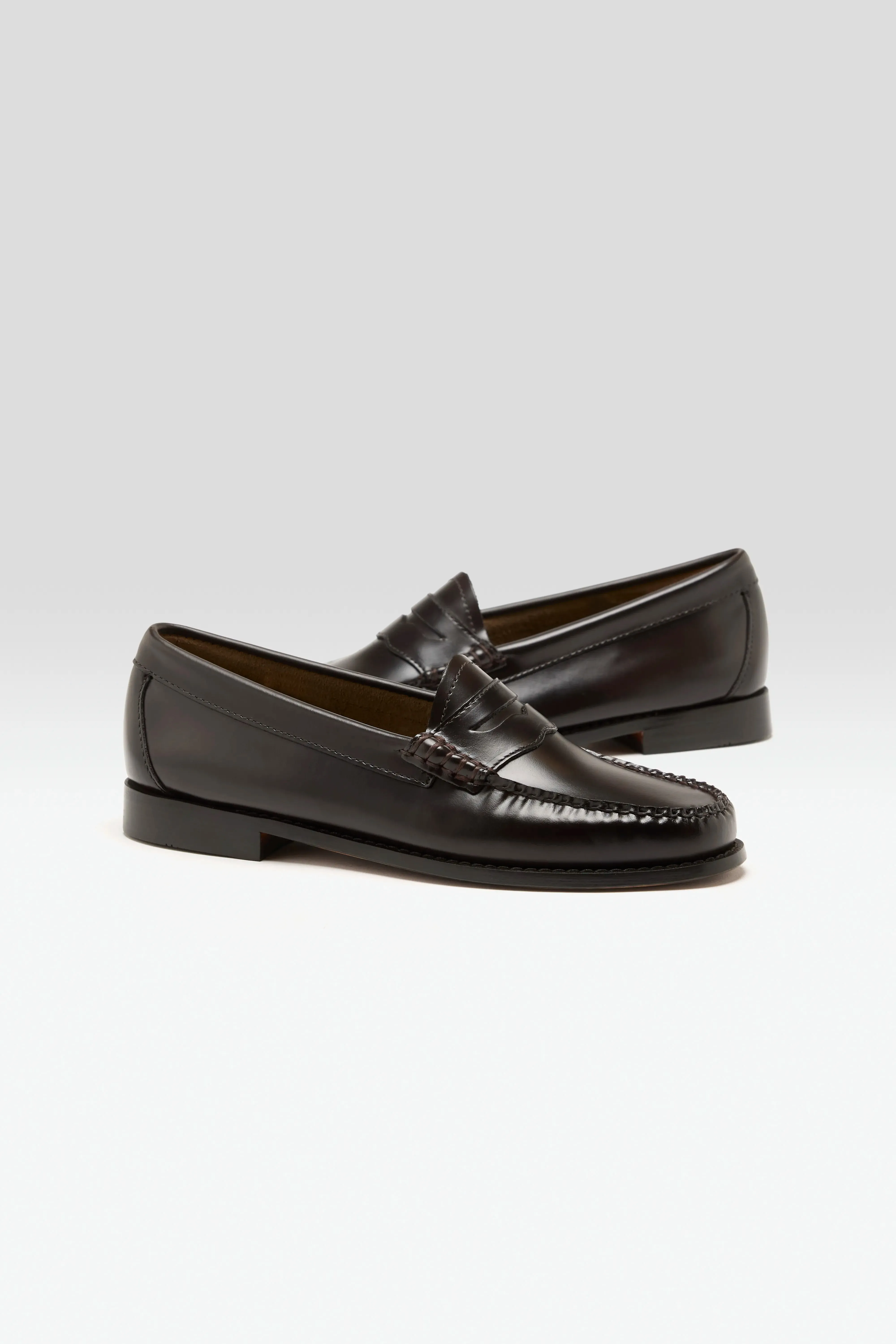 Weejuns Penny Loafers for Women  (251 / W / BROWN)